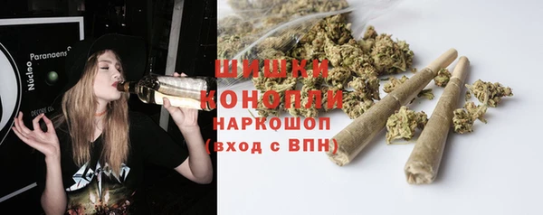 шишки Волосово