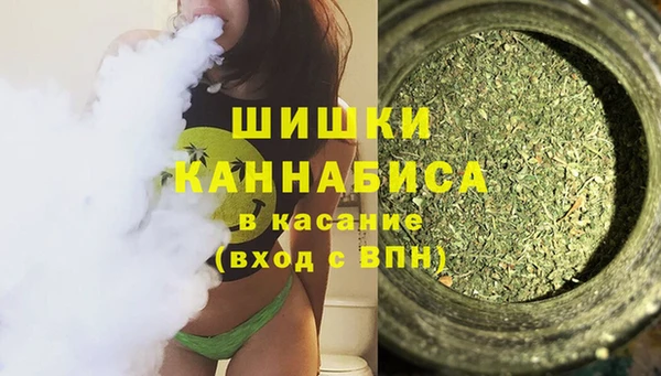 шишки Волосово