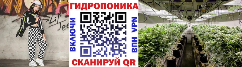 Купить закладки Курчалой Конопля гибрид